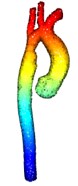 higher resolution aorta point cloud in rainbow colors