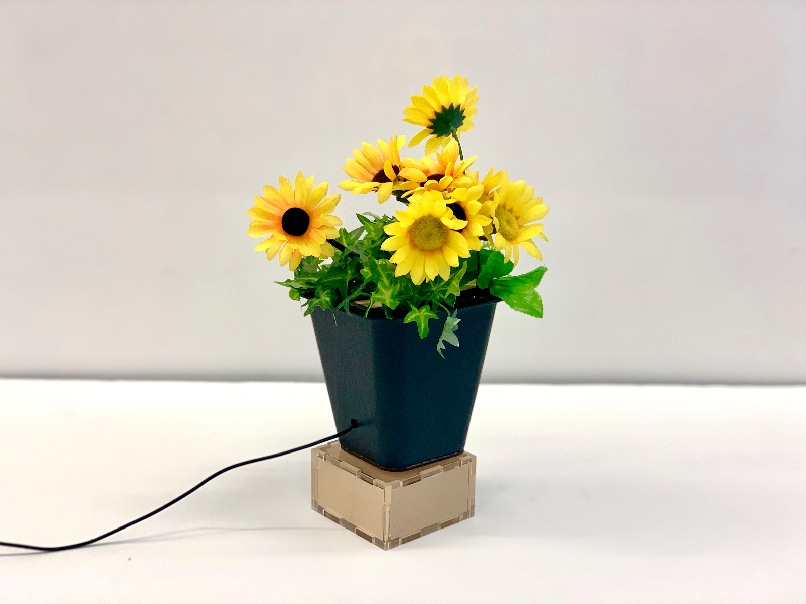 Soulflower cover image: sunflowers in pot on stand